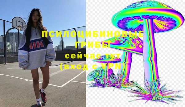 PSILOCYBIN Гусев