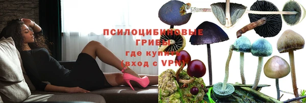 PSILOCYBIN Гусев