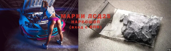 хмурый Гусь-Хрустальный