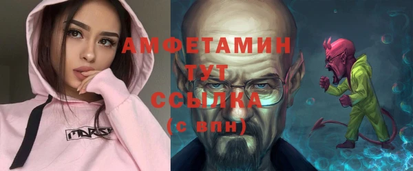 хмурый Гусь-Хрустальный