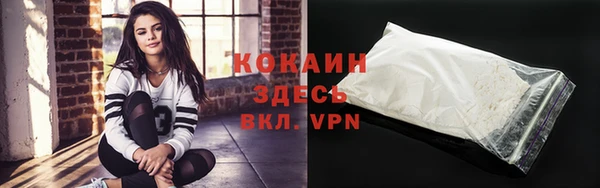 хмурый Гусь-Хрустальный