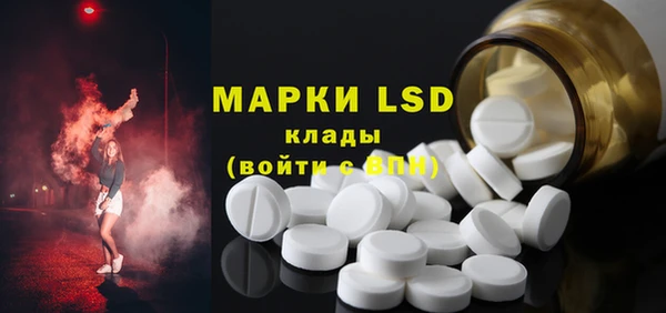 PSILOCYBIN Гусев