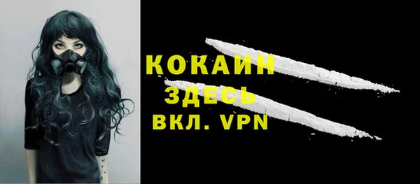 хмурый Гусь-Хрустальный