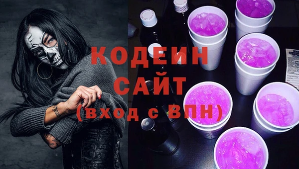 хмурый Гусь-Хрустальный