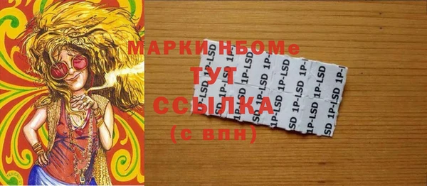 хмурый Гусь-Хрустальный