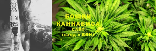 хмурый Гусь-Хрустальный