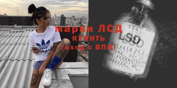 хмурый Гусь-Хрустальный