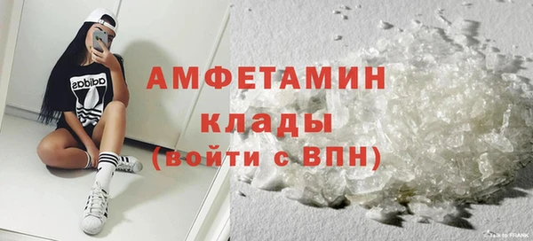 хмурый Гусь-Хрустальный