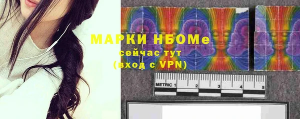 хмурый Гусь-Хрустальный