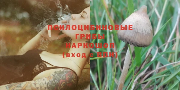PSILOCYBIN Гусев