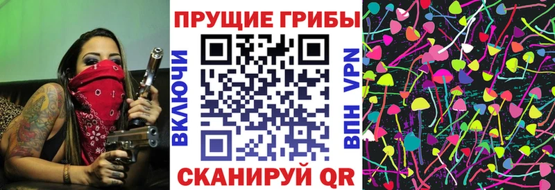 Псилоцибиновые грибы Cubensis  Купить закладки  Курганинск 